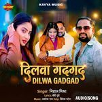 Dilawa Gadagad