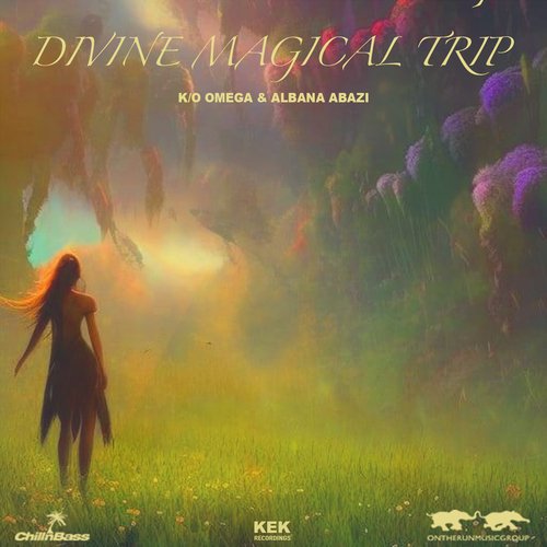 Divine Magical Trip_poster_image