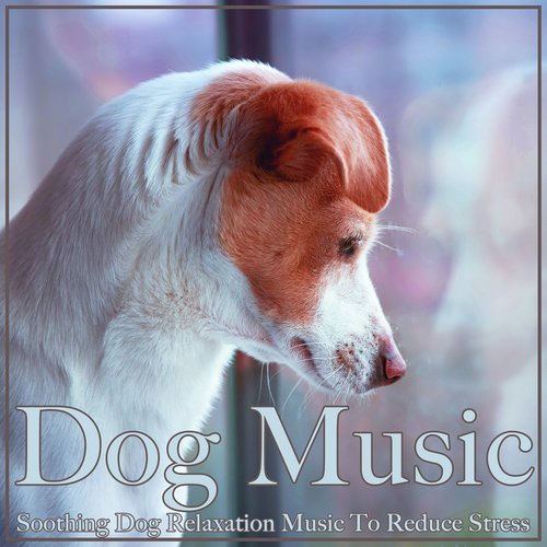 Dog Music: Soothing Dog Relaxation Music to Reduce Stress