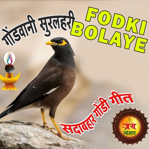 FODKI BOLAYE