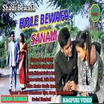 Hole Bewafa Sanam