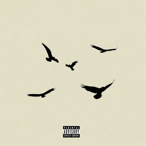 storm cover art