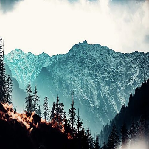 Manali Trip Rewind