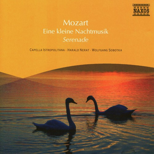 Mozart: Eine Kleine Nachtmusik / Serenata Notturna / Divertimento