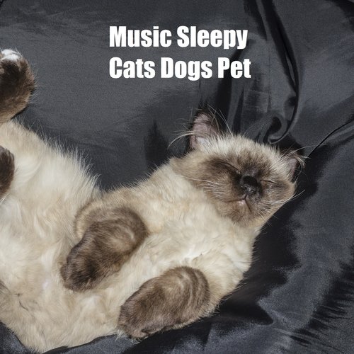 Music For Pets Library (feat. Music For Cats & World of cat's) cover art
