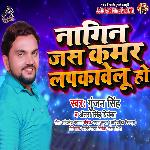 Nagin Jas Kamar Lapkavelu Ho