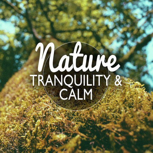 Nature: Tranquility and Calm