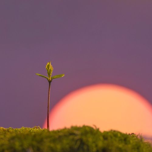 New Day New Life