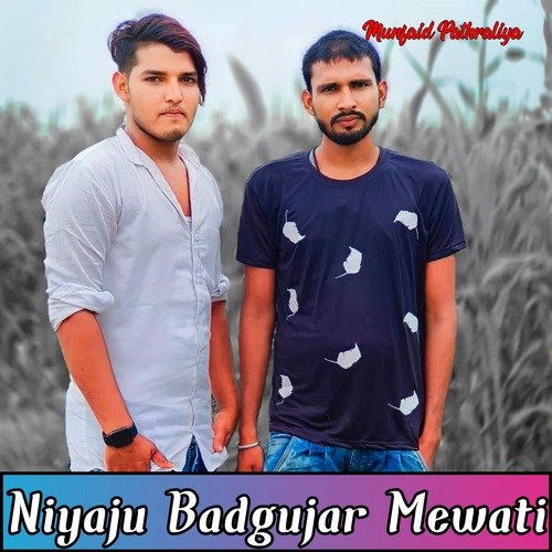 Niyaju Badgujar Mewati (Mewati Song)