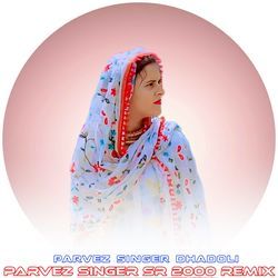 PARVEZ SINGER SR 2000 REMIX