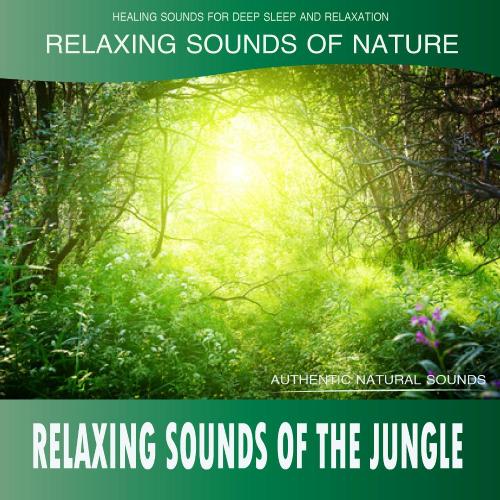 Relaxing Sounds of the Jungle (Sounds of Nature)_poster_image