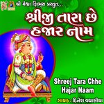 Shreeji Tara Chhe Hajar Naam