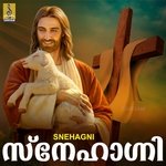 Snehagni