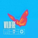 Wildfire (DnB)