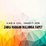 Khaista Ba Yam Kho Dumra Na Yam Tapey