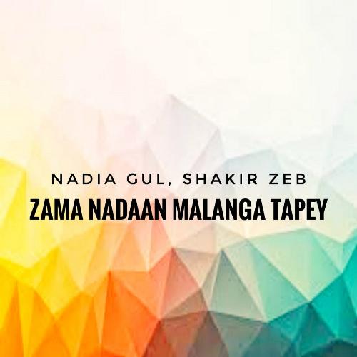 Zama Nadaan Malanga Tapey_poster_image