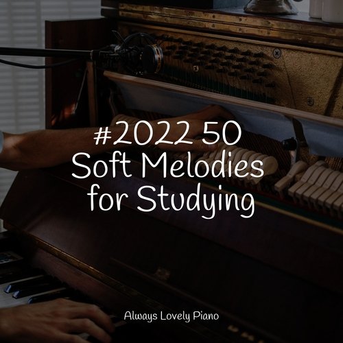 #2022 50 Soft Melodies for Studying