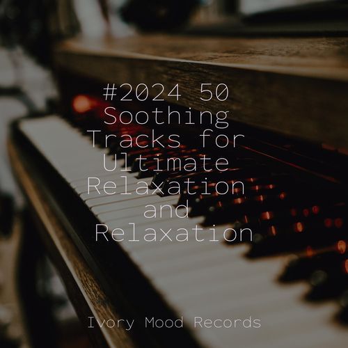 #2024 50 Soothing Tracks for Ultimate Relaxation and Relaxation_poster_image