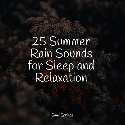 25 Summer Rain Sounds for Sleep and Relaxation
