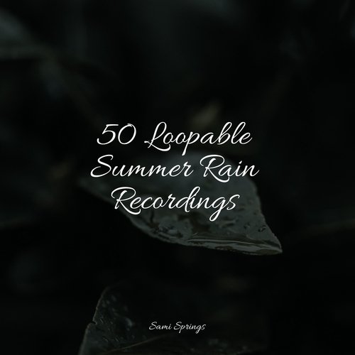 Rain, Storm and Thunder cover art