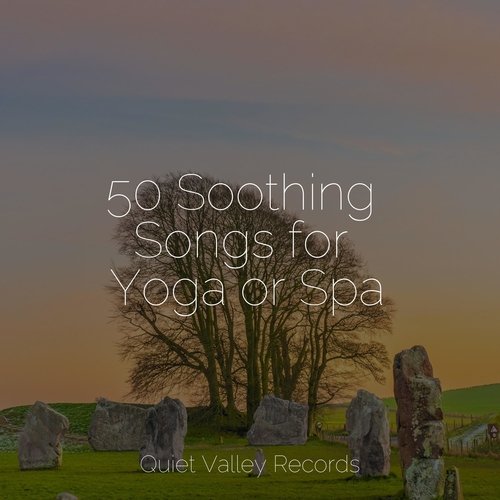 50 Soothing Songs for Yoga or Spa