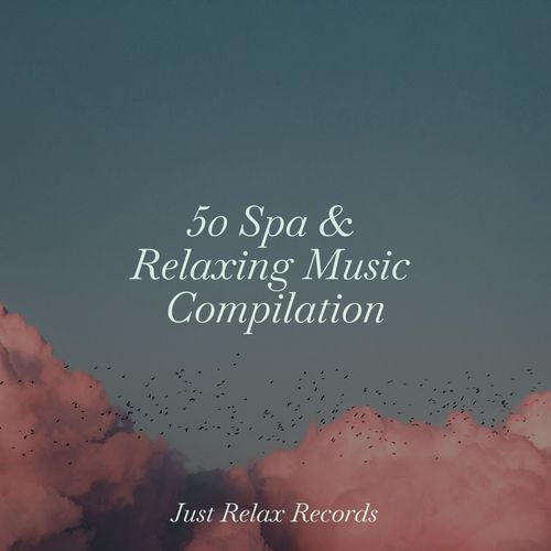 50 Spa & Relaxing Music Compilation