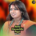 Ami Hoyechhi Pagol