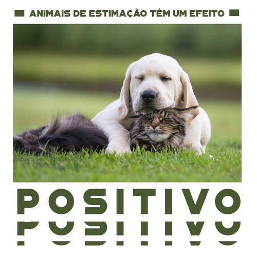 Música para Animais de Estimação Dormindo cover art