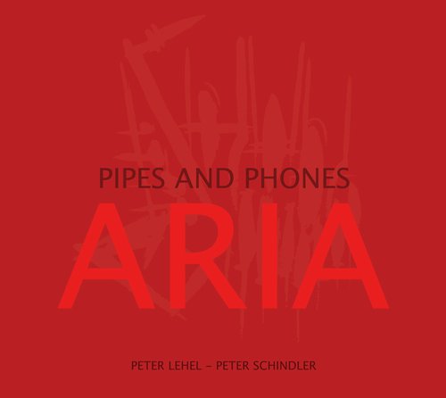 Winterreise, Op. 89, D. 911: No. 20, Der Wegweiser, Solvejgs Lied (Arr. for Saxophone & Organ) cover art