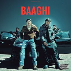 Baaghi