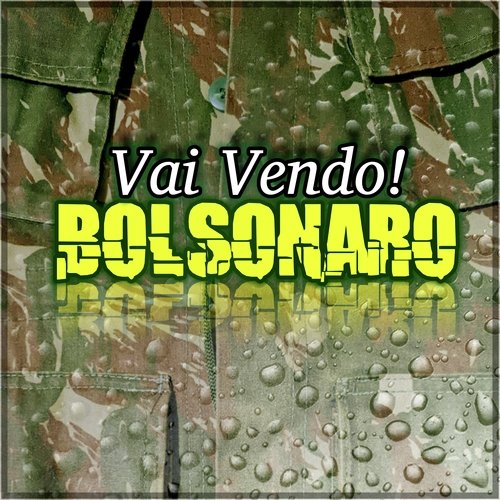 Voto de Novo