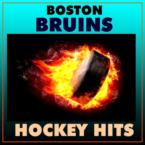 Download Cheering On The Boston Bruins