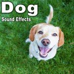 Dog Sound Effects