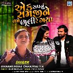 Ek Sapnu Samji Ne Tame Bhuli Re Gaya