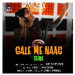 Gale Me Naag Tere
