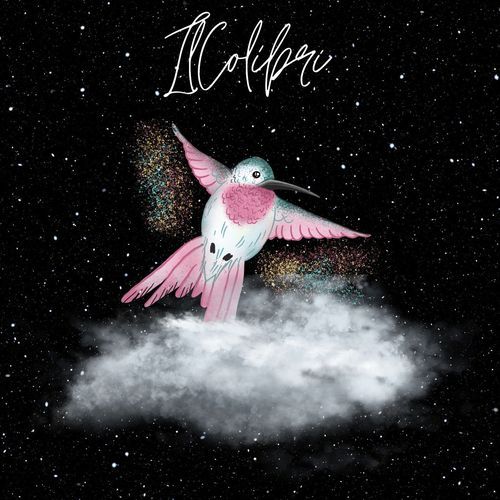 Il Colibrí cover art