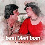 Janu Meri Jaan (Lofi Flip)