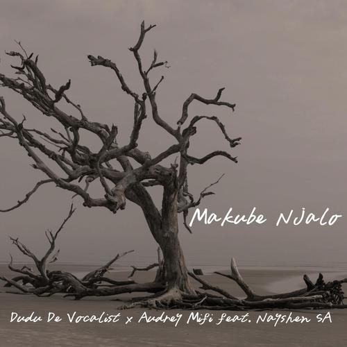 Makube Njalo (feat. Nayshen SA) cover art