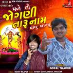 Mane To Jogani Taru Naam Valu Lagyu artwork