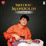 Melodic Mandolin - Samukhananilva - Hemavathi - Adi