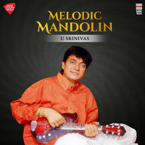 Melodic Mandolin_poster_image