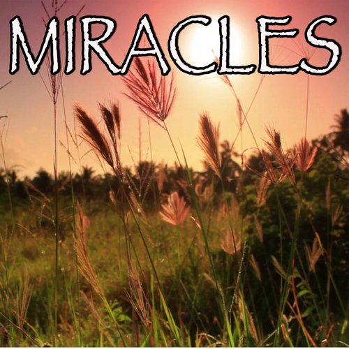 temor Cosquillas Adelaida Miracles (Someone Special) - Tribute To Coldplay And Big Sean (Instrumental  Version) - Song Download from Miracles (Someone Special) - Tribute to  Coldplay and Big Sean @ JioSaavn