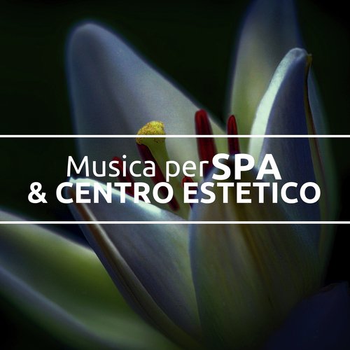 Musica Rilassante cover art