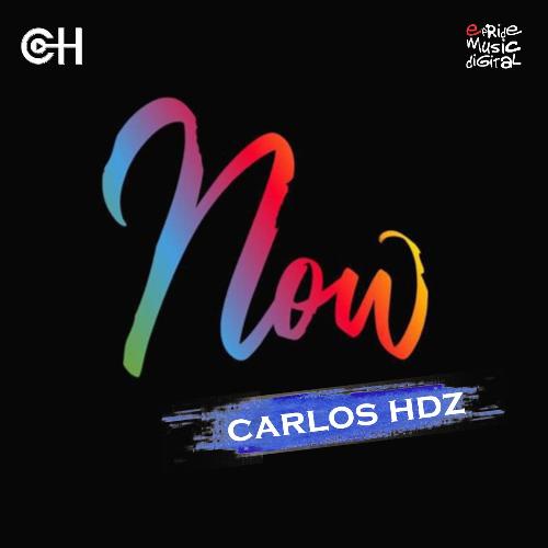 Now (Diego Santander Remix) cover art