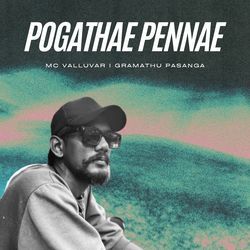 Pogathae Pennae-ST8cQxUAcR4