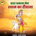 Sara Jamana Mera Shyam Ka Deewana