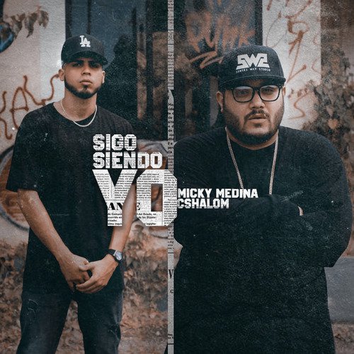Sigo Siendo Yo (Remix) cover art