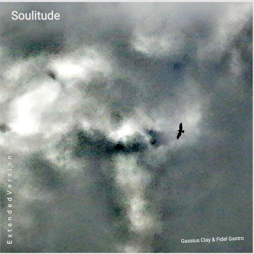 Soulitude (Extended) cover art
