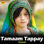 Tamaam Tappay