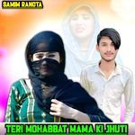 Teri Mohabbat Mama Ki Jhuti